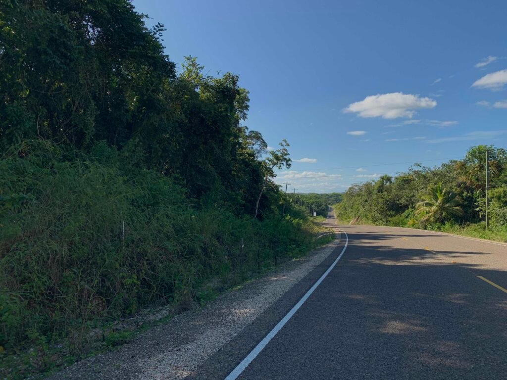 road to san ignacio in belize